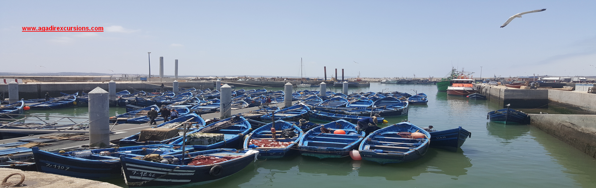 Agadir Touren und Aktivitäten